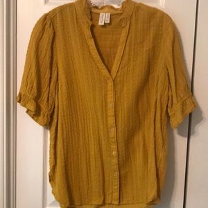 Anthropologie shirt sleeve top